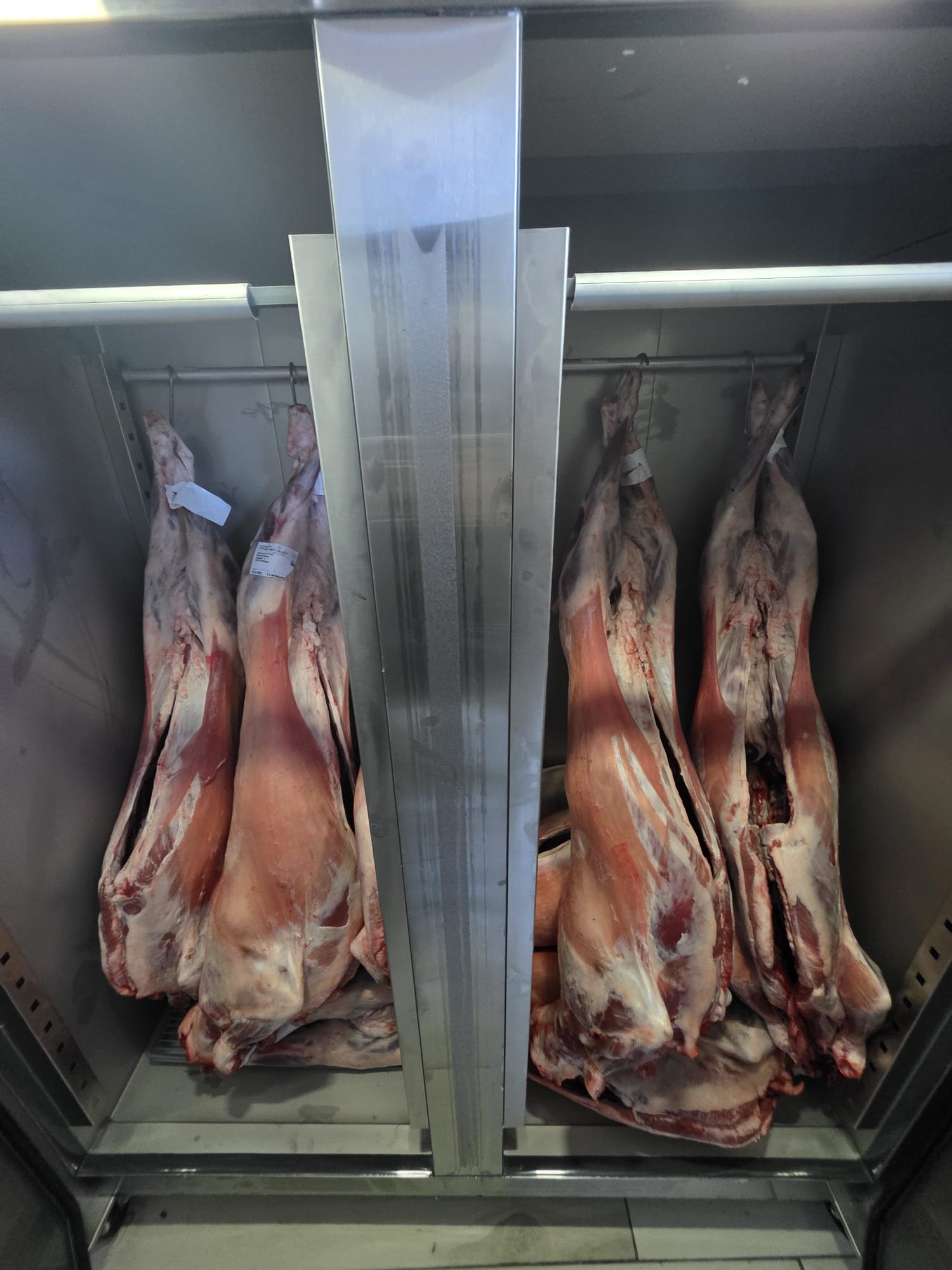 Dry Age Fridge
